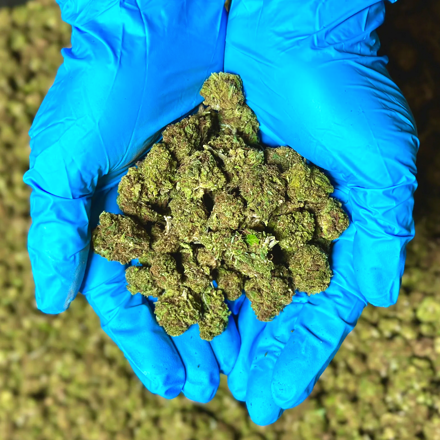 Green Goddess Smalls