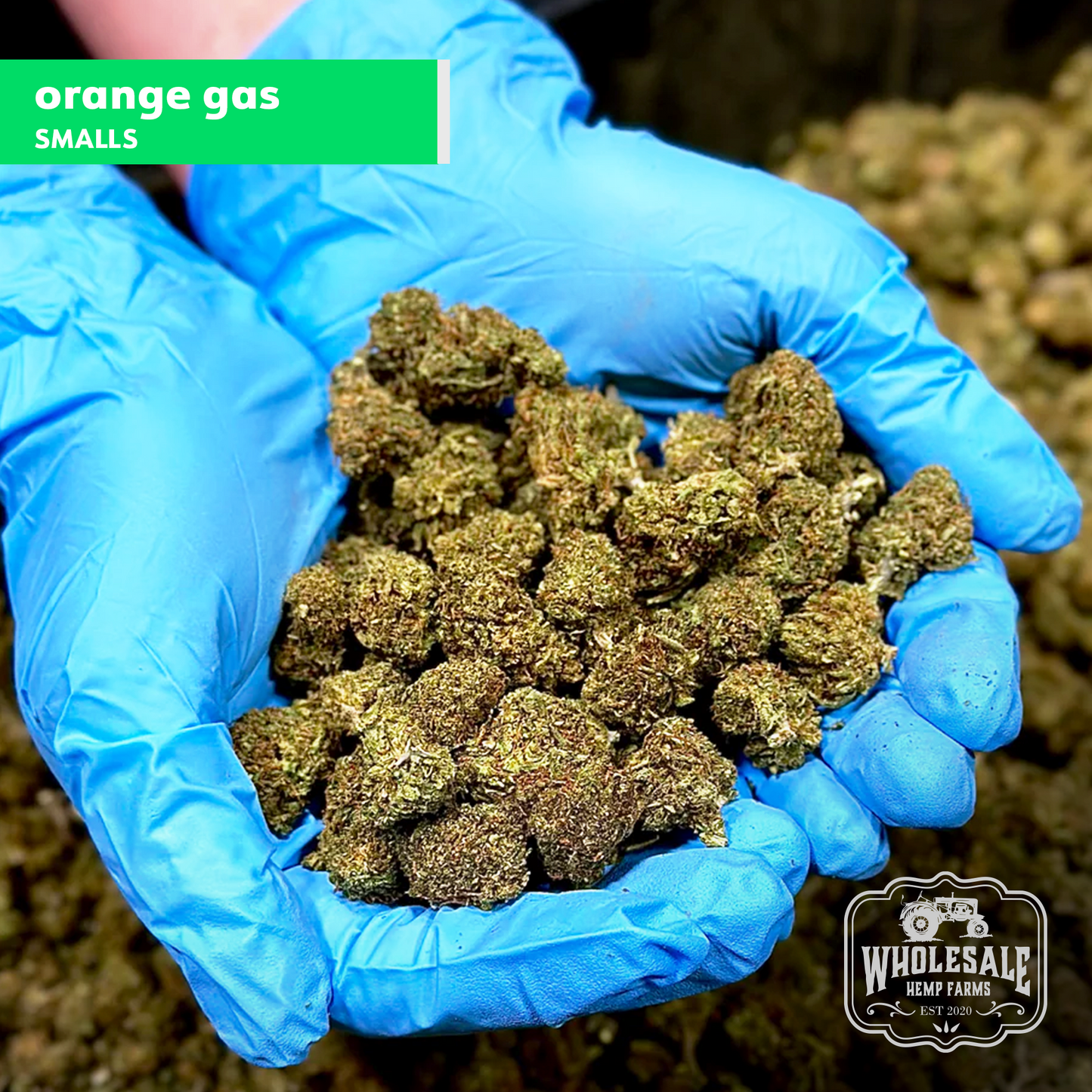 Orange Gas Smalls