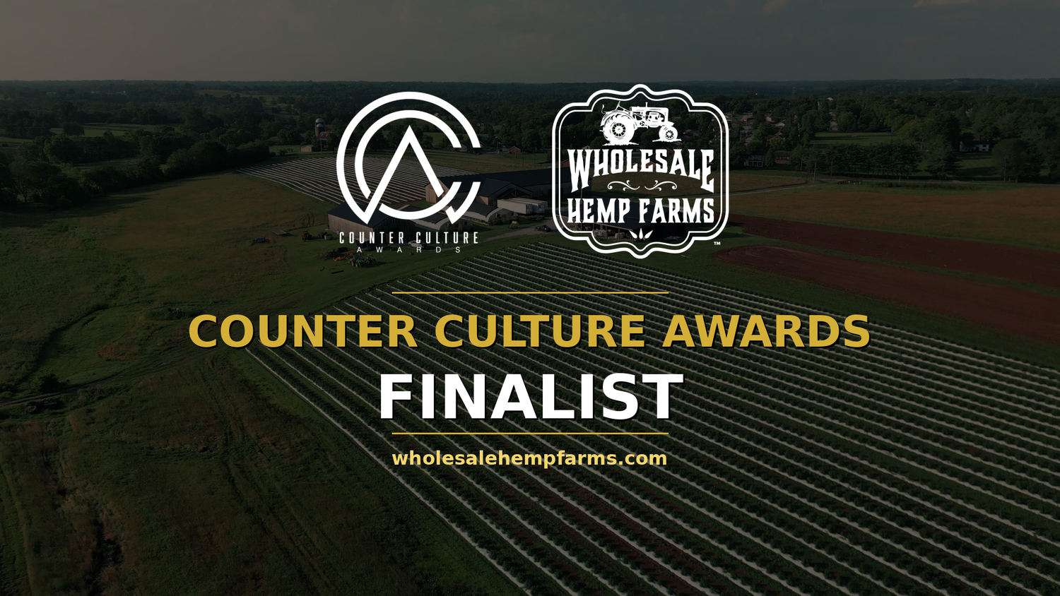 Award finalist certificate or trophy displayed with organic hemp flowers