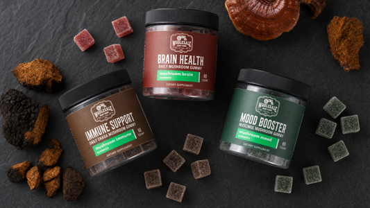 Three Wholesale Hemp Farms mushroom gummy jars arranged with dried mushrooms on a dark slate surface
