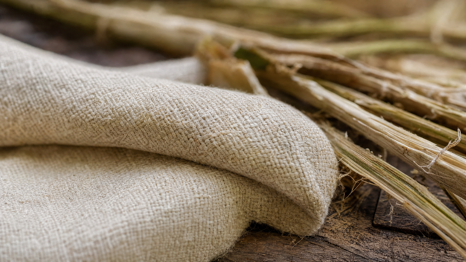 Hemp Clothing: Benefits, Care & Why Farmers Love It