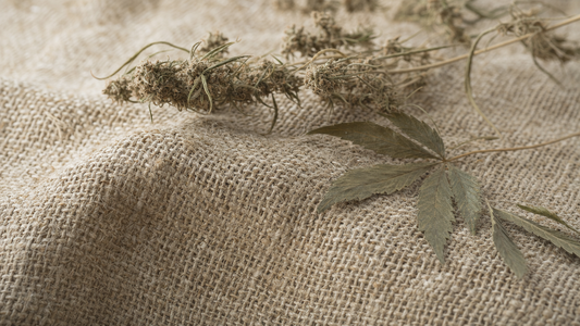 Hemp Fabric: Properties, Benefits & How It's Made