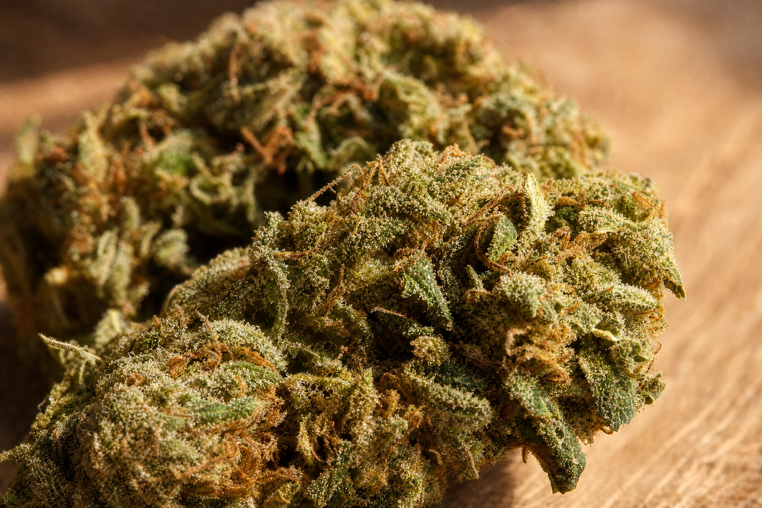 Close-up macro of USDA Organic hemp flower buds showing cannabinoid-rich trichomes, representing how CBD is made