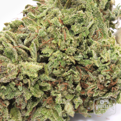 Oregon Premier Hemp Flower — CBD hemp flower grown on USDA Organic Kentucky farm | Wholesale Hemp Farms — view 3