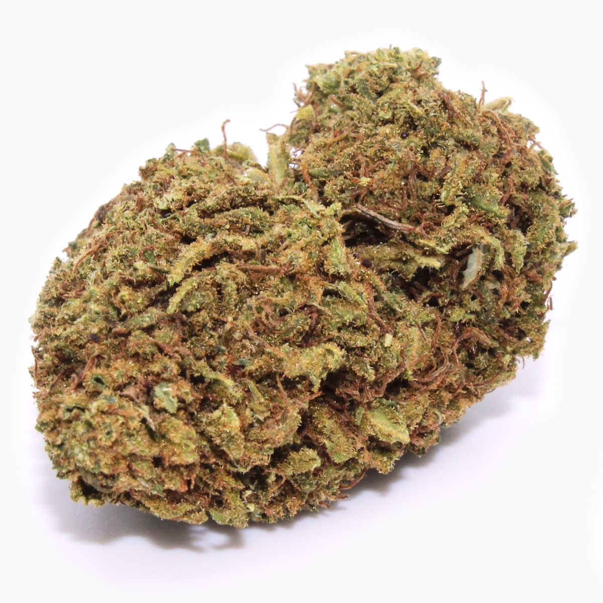Hawaiian Haze hemp flower — tropical sativa buds with pineapple and mango terpenes