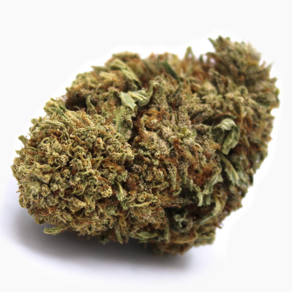 Orange Gas hemp flower — citrus and fuel terpene profile, indica-leaning hybrid buds