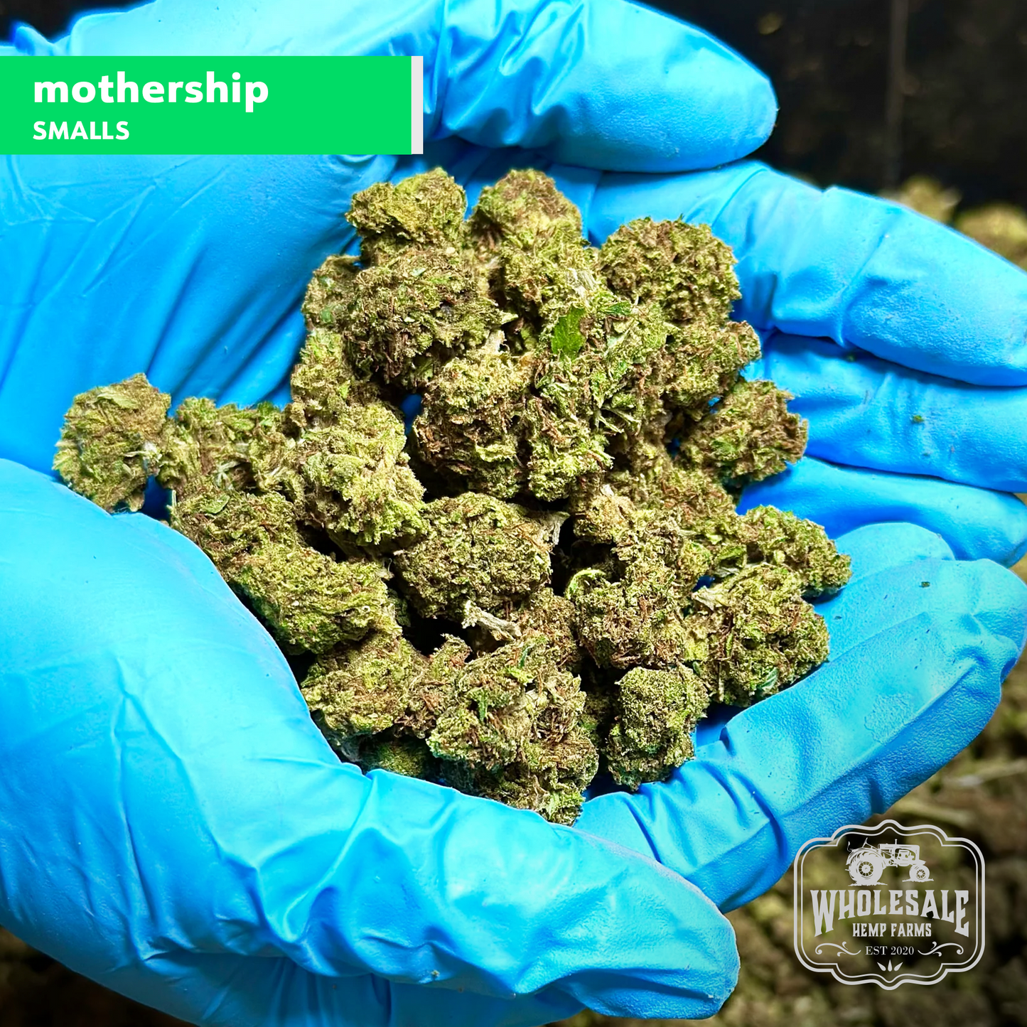 Mothership Smalls