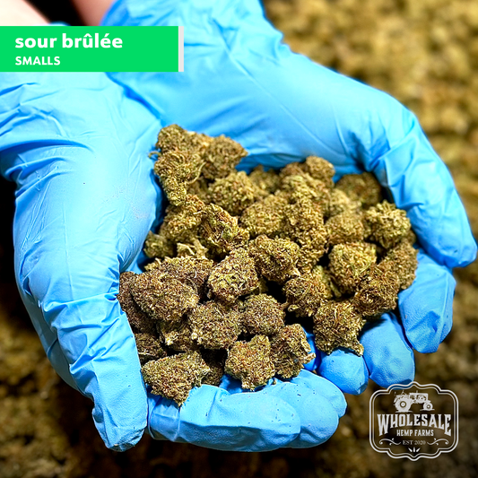 Sour Brûlée Smalls