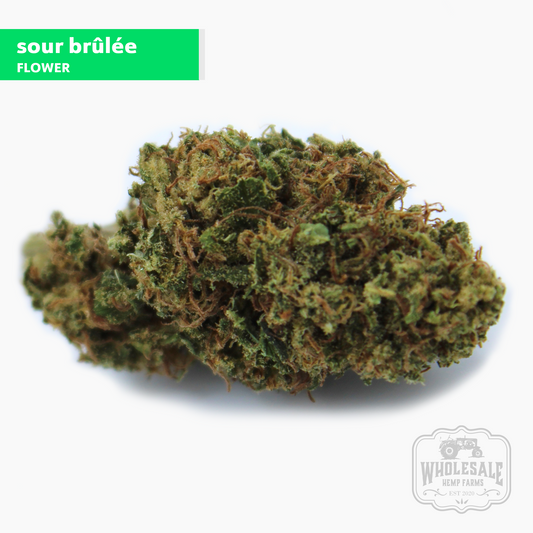 Sour Brûlée