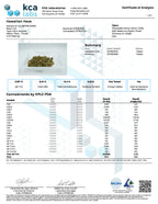 Hawaiian Haze Sativa 1g CBD Hemp Pre-Roll - Full Size