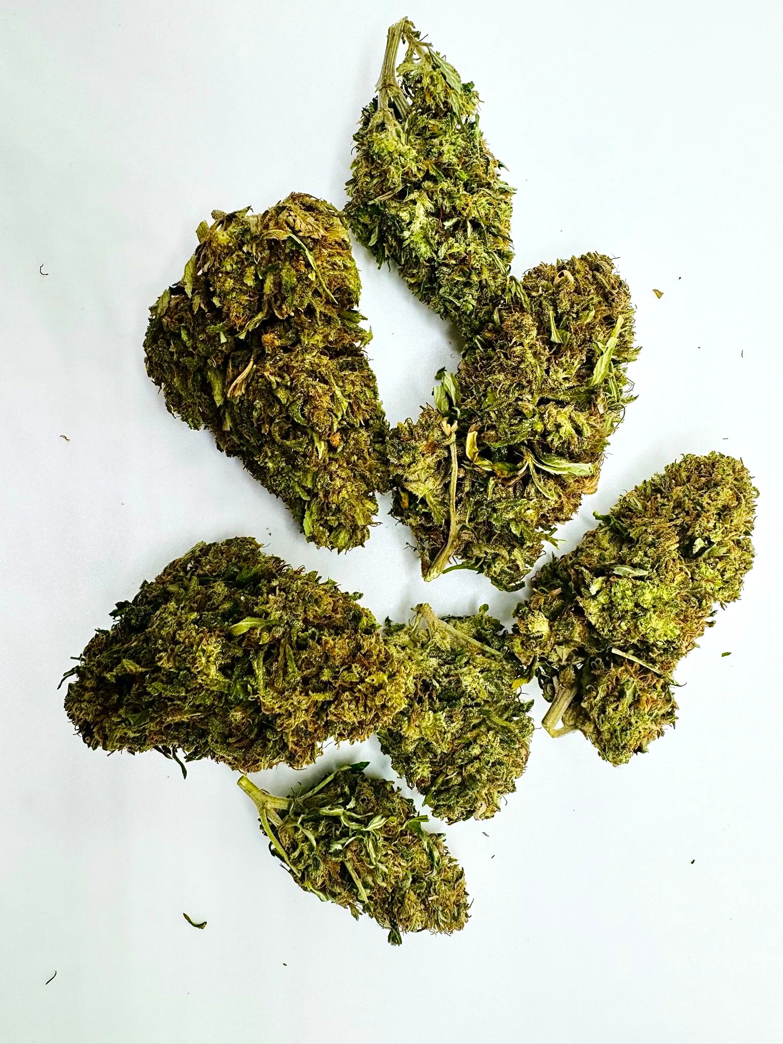 CBG White Strain | CBG White | Wholesale Hemp Farms