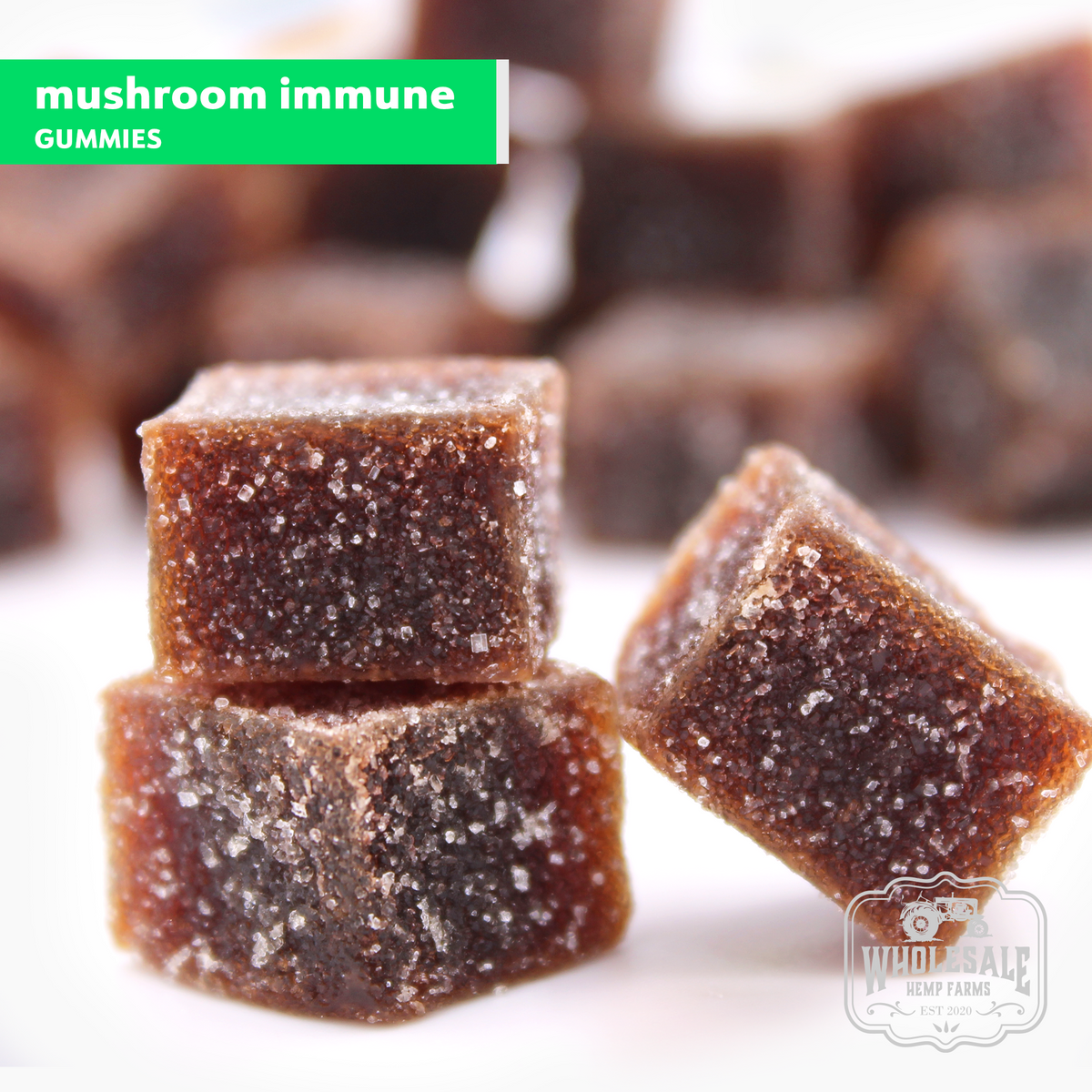 Immune Support Daily Chaga & Cordyceps Mushroom Gummy