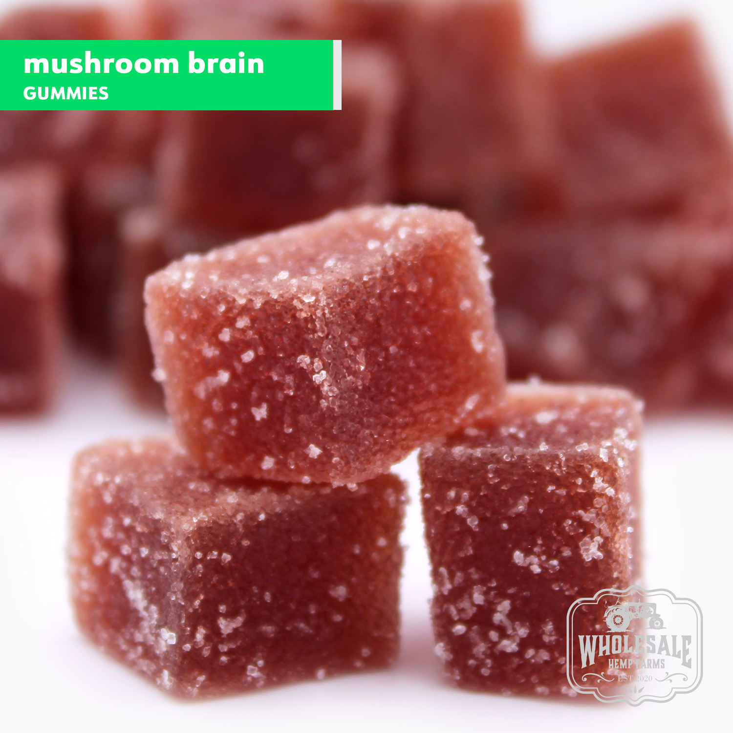 Lions Mane mushroom gummies