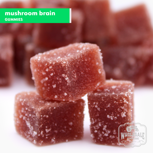 Brain Health Daily Mushroom Gummy