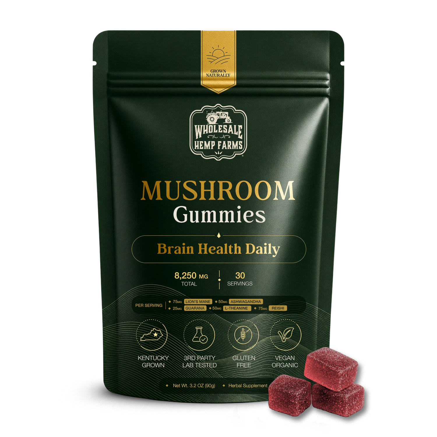 Ashwagandha gummies with Lion's Mane, Reishi and L-Theanine — Brain Health Daily mushroom gummies from Wholesale Hemp Farms, third-party lab tested