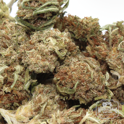 CBG White Smalls — CBD hemp flower smalls grown on USDA Organic Kentucky farm | Wholesale Hemp Farms — view 3