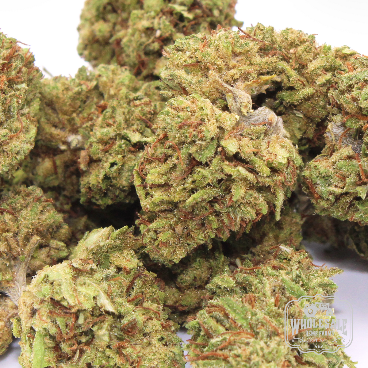 Orange Gas hemp smalls: organically grown Kentucky hybrid, Farm Bill compliant