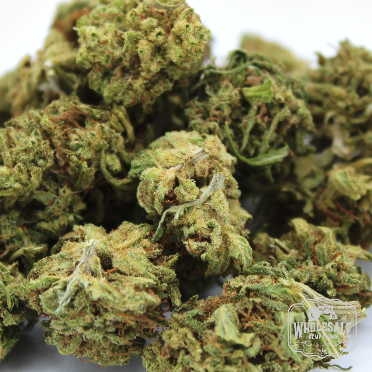 Green Goddess hemp smalls: organically grown Kentucky indica dominant flower