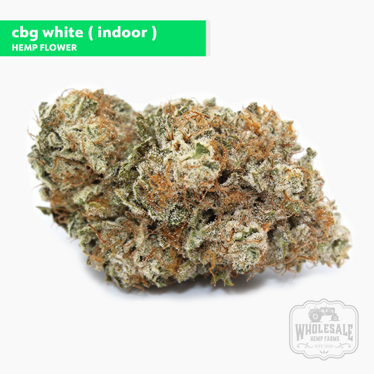 Indoor White CBG Hemp Flower
