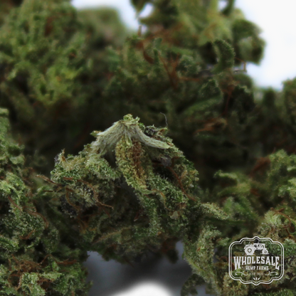 Oregon Premier CBD hemp flower smalls