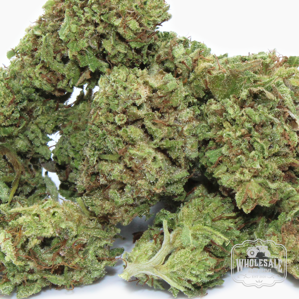 Smoky Mountain Haze hemp smalls: organically grown Kentucky sativa rich in CBDA