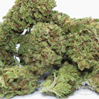 Smoky Mountain Haze hemp smalls: organically grown Kentucky sativa rich in CBDA