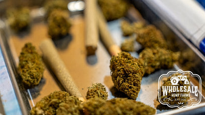 Orange Gas Hybrid 1g Hemp Pre-Roll 1g Full-Size