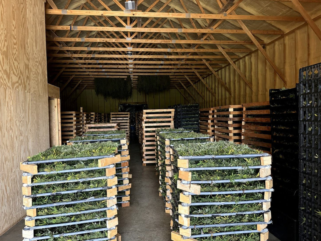 Drying racks stacked in our barn